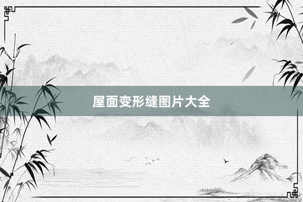 屋面变形缝图片大全